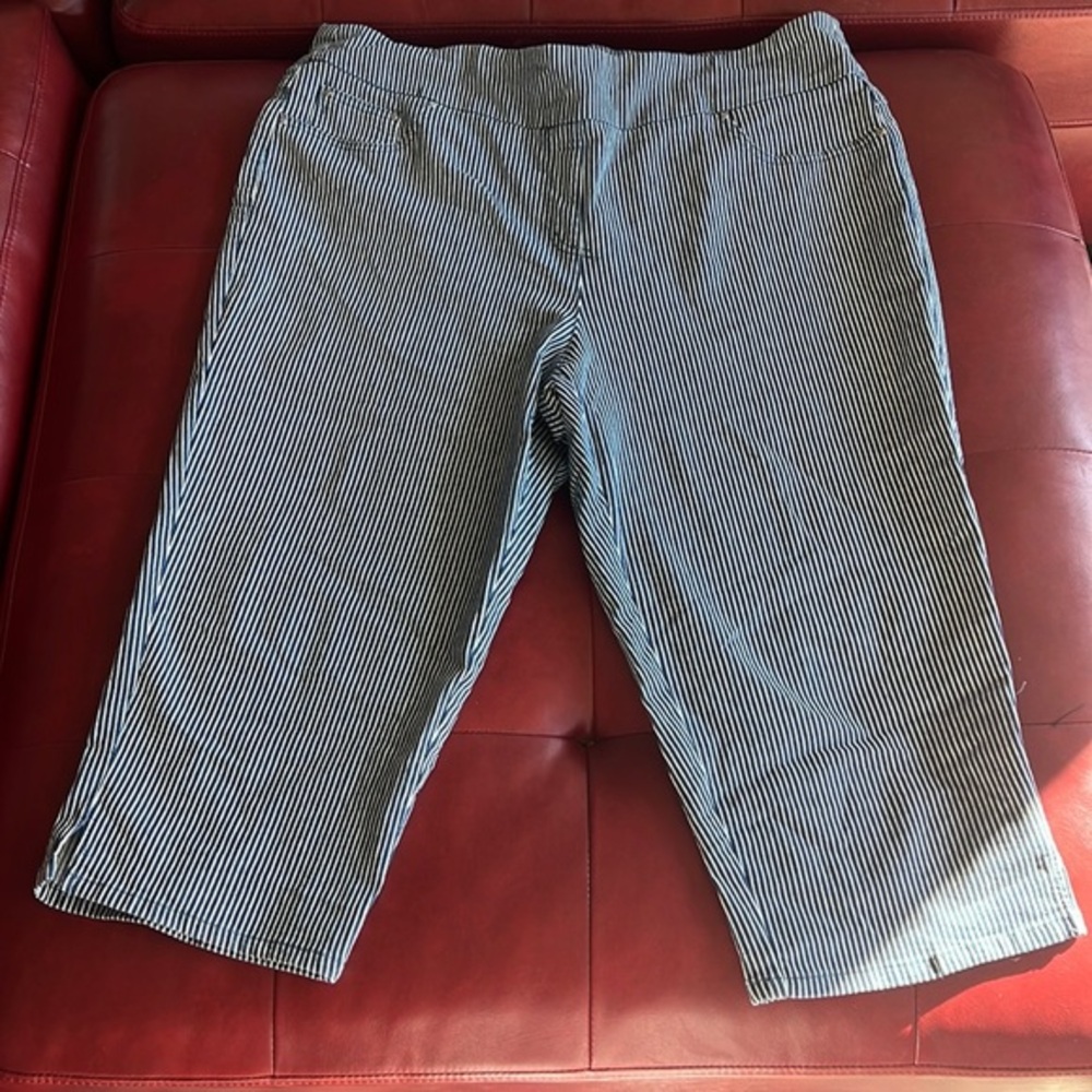 Ruby Rd. Capris - image 1